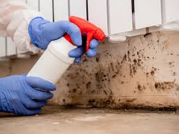 Best Water Damage & Mold Remediation  in Richwood, LA